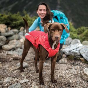 China  				Dog Winter Jacket Fits Dogs of All Sizes with Durable Rip-Stop Material Made for Three Season Coverage While Allowing for Natural Movement 	         on sale