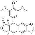China pure Picropodophyllotoxin 98%, CAS No.: 477-47-4, natural IGF-1R inhibitor, manufacturer, Shaanxi Yongyuan Bio on sale