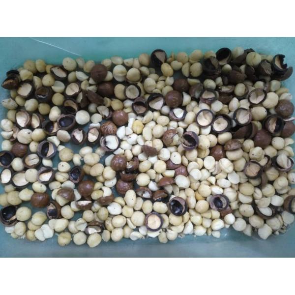 3t/H Sacha Inchi Sorting Machine CE Certificated Intelligent