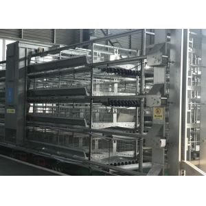 China Stable Automatic Poultry Feeder System Chick Rearing Equipment 15-20 Years Lifespan on sale