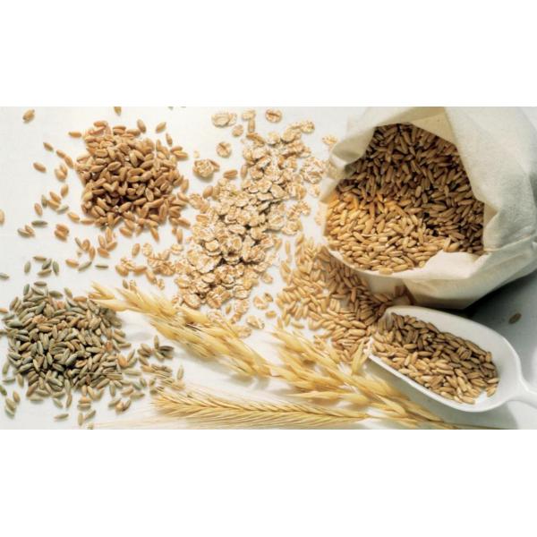 Monofilament Polyamide Woven Filter Mesh For Flour Milling Industry