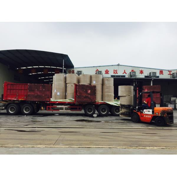 Roll And Sheets Type Grey Back Duplex Board Fbb Paperboard For Printing Industry