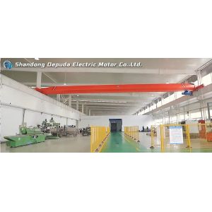 Shandong Depuda Electric Motor Co., Ltd.