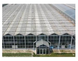 Temperature Resistance Glass Greenhouse For Agricultural Applications