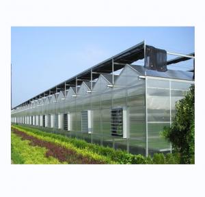 Quality Sturdy And Large Greenhouse Agriculture Polycarbonate With Galvanized Steel Frame for sale