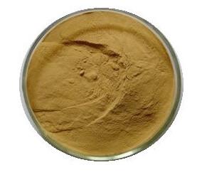 Quality 100% Natural Psyllium Husks extract, Psyllium Husks extract powder 10:1 for sale