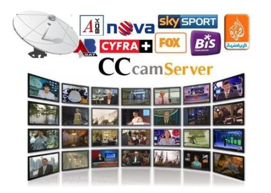 Buy Stable Cccam Pay Server Automatically Updated With DVB - S2 Receiver at wholesale prices