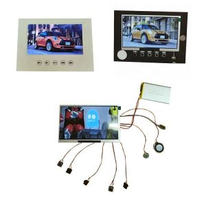 7 Inch Color Low Power LCD Display Screen Monitor for Video Brochure Greeting