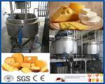 20000L/D Pasteurized Milk / Cheese Making Equipment For Turn Key Project