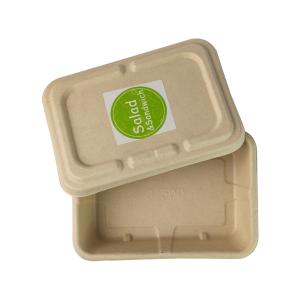 China Molded Sugarcane bagasse Throw Away Meal Prep Containers , Biodegradable Salad Boxes on sale
