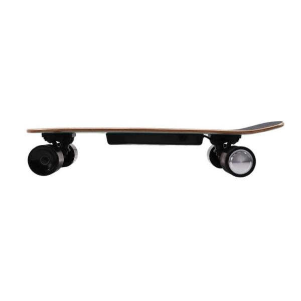 Adjustable Speed Cruiser Electric Skateboard With Wireless LED Remote