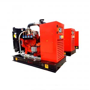 Quality 30kW Natural Gas Engine Generator Set Electric Start ISO Approved for sale