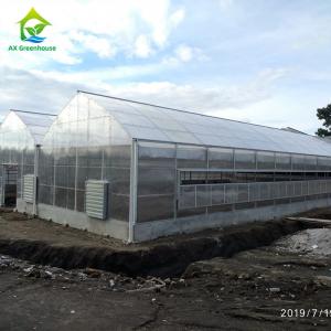 Quality 1.2g/Cm2 Anti Snow Greenhouse Polycarbonate Sheets 6mm Twin Wall Polycarbonate Panels for sale