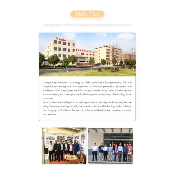 Vegetable Dicing Fruit And Vegetable Processing Machine Potato Cutting Machine