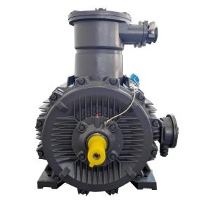 Quality 0.5 Hp 1.5 Hp 10 Hp 15hp 7.5 Hp 3 Phase Air Compressor Motor Electric 415V for sale