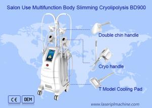 China Weight Loss Cryolipolysis Slimming Machine Fat Freezing Liposuction 80kpa on sale