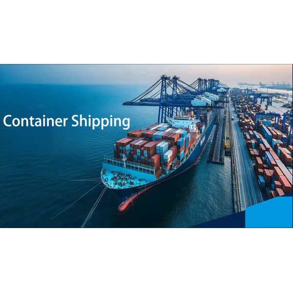 CE 1200Pcs/Min Full Servo Sanitary Pad Making Machine One Stop Solution Factory