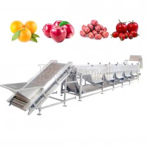 Quality Automatic Mango Washing Waxing Grading Machine For Fruit Processing for sale