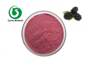 Quality Food Grade Organic Blackberry Fruit Juice Powder Food Additive for sale