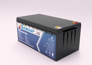 Quality ACEday 48v100ah Lifepo4 Rechargeable Battery Exceptional Performance and Reliability Lifepo4 Lithium Battery for sale