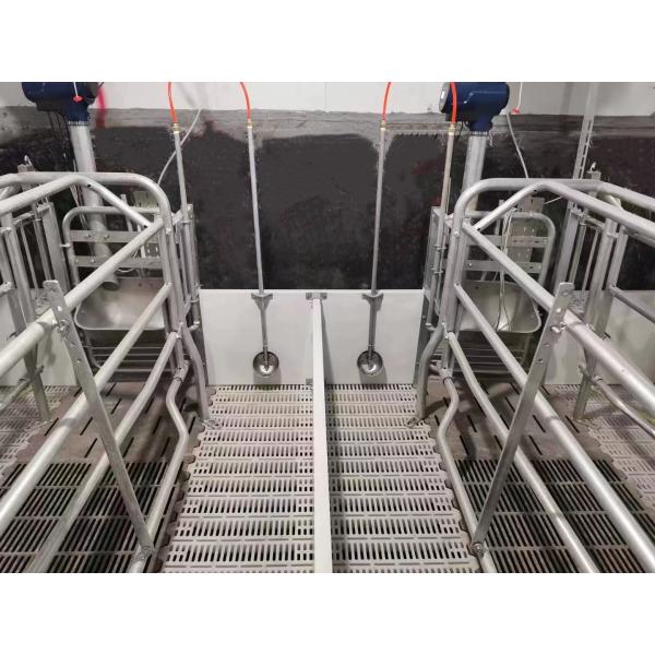 Hot Dip Galvanized Steel Sow Farrowing Crate Pens 2.4*1.8m
