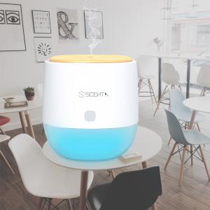 Quality SCENTA Bluetooth Control LED Light 30ml Wood Essential Oil Diffuser For Bedroom for sale