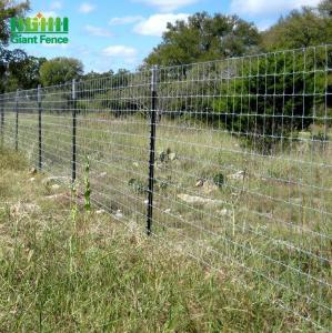 Quality Hot Dip Galvanized Steel Studded T Post 6ft Metal For Animal Fence for sale