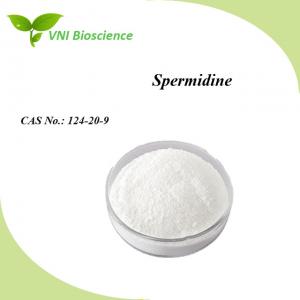 China Water Soluble Nutrition Supplement Powder Halal Spermidine Trihydrochloride on sale