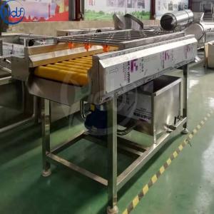 Quality Fruit and vegetable processing equipment/wool roller high pressure spray cleaning/brush cleaning machine parallel type for sale