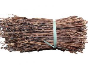 Quality Indian aeginetia herb Aeginetia indica L organic herb whole plants 100% natural Ye gu for sale