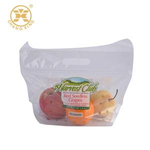 Buy cheap EXPE PP Plastic 3kg Dry Fruit Packaging Bags Stand Up Pouch With Zipper Vent from wholesalers