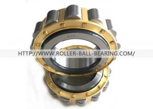 China RN219M Single Row Eccentric Bearing For Speed Reducer Bearing RN219M+35 on sale
