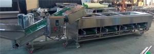 Quality mushroom sorting machine,mushroom grading machine,walnut sorting machine,walnut grading machine for sale