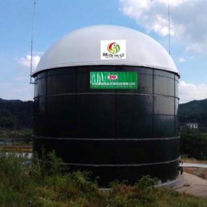 Quality Food Waste Small Biogas Balloon Biogas To CNG Conversion Plant for sale