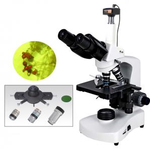 China BM117PHT with 5.0MP  best quality 5.0MP digital camera sliding phase contrast microscope for cellular biology research on sale
