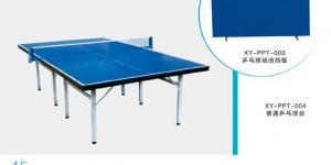 Quality New design table tennis table Double folding indoor movable table tennis table YGTT-002 for sale