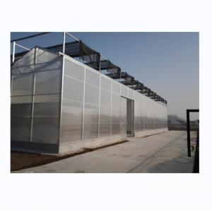 Quality PC Plastic Polycarbonate Sheet Multi Span Hydroponic Greenhouse for sale