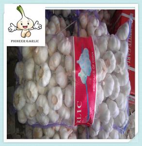 China China farm fresh organic garlic wholesale price Fresh White Garlic Exporter In China on sale