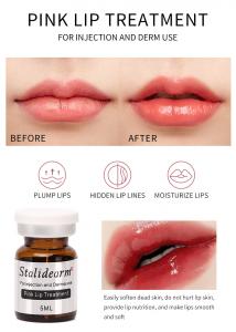 China Wholesale Stalidearm Original Brand  Pink Lip Treatment Injection Serum Safe Essence Meso Therapy Set 5pcs/Set on sale