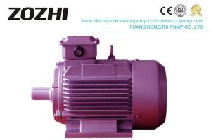Quality Fan Cooled Electric Motor Water Pump 0.16kw-430kw Y2 Series IE1 IE2 IE3 Low Noise for sale