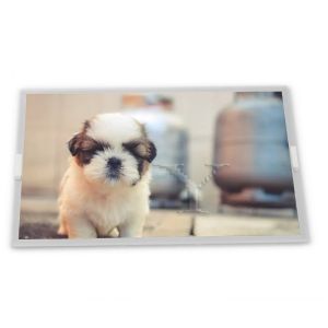 Quality MV238QUM-N20T 23.8 TFT LCD Display Modules IPS with LED Backlight Multiple Interfaces-SPI LVDS MIP for sale