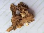 Chinese Angelica sinensis root cuts slices Radix Angelicae Sinensis Oliv Diels