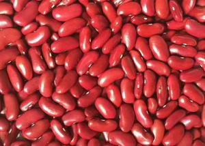 Quality Red Kidney Beans Exported To Yemen for sale