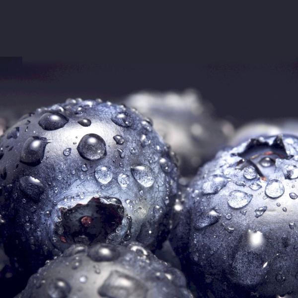 SUS304 Automatic Fruit Processing Equipment Blueberry Washing Machine