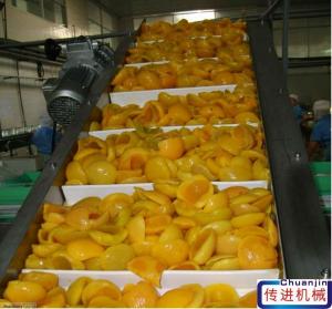 Quality                  Stainless Steel Elevator Conveyor Belt Conveyor Price for Washing Vegetable and Fruit              for sale