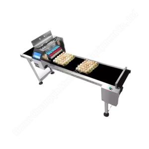 Quality Automatic Egg Coding Machine Inject Printing Machine Small For Eggs Expiry Date Printing Machine for sale