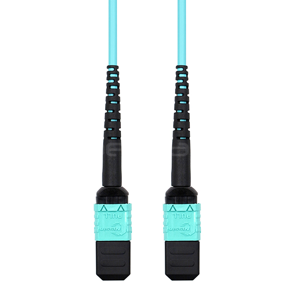 FiberMania Female to Female 2 x MPO Trunk Cable 24 Fibers OM3 OFNR Aqua Jack