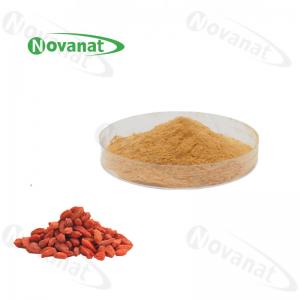 Quality Water Soluble lycium berry Extract Powder 20% - 50% Polysaccharides / Clean Label for sale