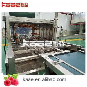 China Tropical Fruit Pulp Processing Line With Automatic Cleaning System Whole Line Fruit Pulp System on sale