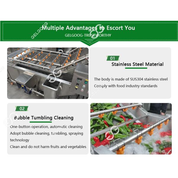 Automatic Vegetable Washer Fruit Washer Machine Vegetable Washing Line